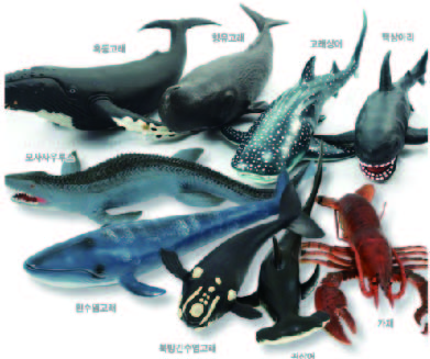 반디 소프트 해양동물 9종세트